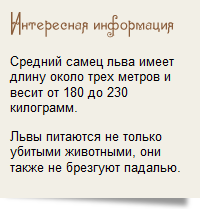 Вид блока